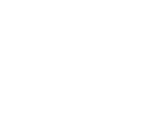 Evolution Electrolysis logo